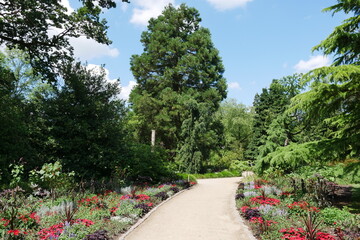 Naklejka premium Gartenweg in der Norddeutschen Gartenschau Arboretum Ellerhoop-Thiensen