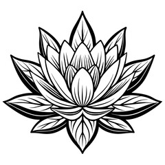 hand drawing lotus flower line art water lily vector illustration