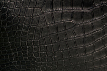 Close up of a black crocodile leather