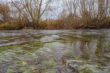 agua del río en invierno lluvioso
