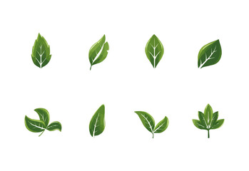vector set of different isolated green leaves icon white background 