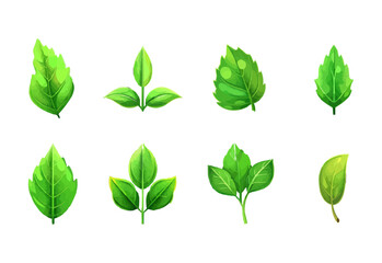 vector set of different isolated green leaves icon white background 