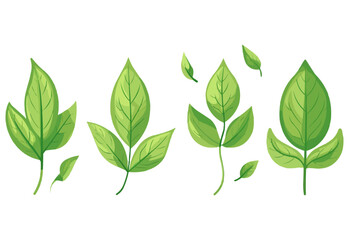 vector set of different isolated green leaves icon white background 