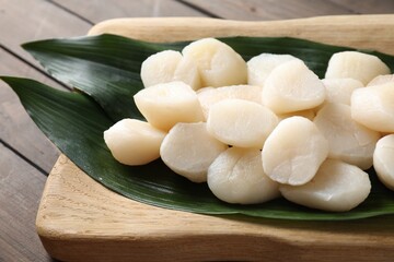 Fresh raw scallops on wooden table, closeup
