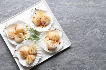 Raw scallops with spices, dill, lemon zest and shells on grey marble table, top view. Space for text