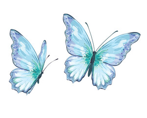 watercolor butterfly hand drawn design