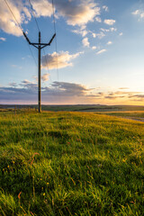 Looking out over the South Downs on a sunny evening in June