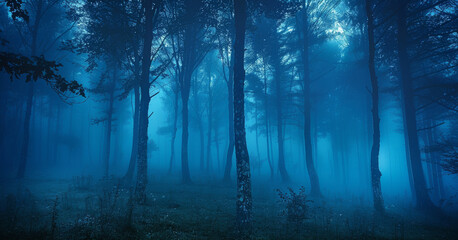 Naklejka premium A forest at night with trees whose trunks can be seen and fog, all in a dark blue. Generative AI.