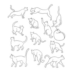 Cartoon lines of cute cats in various poses