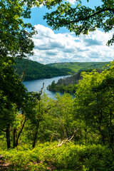 Blick auf die Urft und Burg Vogelsang im Nationalpark Eifel im Sommer - Urftsee	
