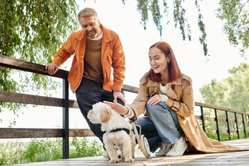 An adult couple lovingly pets a small dog while walking in a park.
