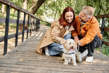 A man and woman in casual attire affectionately pet a dog on a bridge in a park.