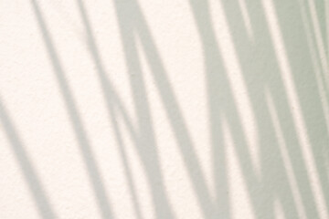 Abstract natural tree leaves shadow on white wall background