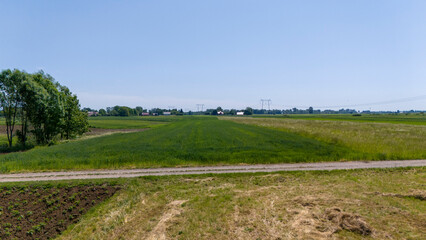 Aerial view of agriculture area and green wavy fields in sunny day.