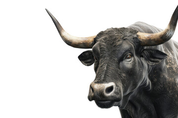 Naklejka premium Close-up image of a black bull with large horns on a transparent background. showcasing its strong and majestic presence.