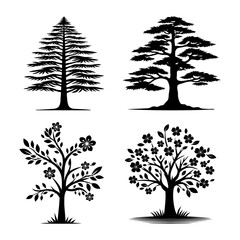 Cedar tree silhouette vector illustration