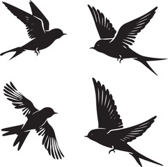 clip art, cut out, feather, flying, horizontal, singing, back lit, bird, collection, illustration, animal, blackbird, clean, finch, nature, perching, small, songbird, sparrow, symbol, vector, black co