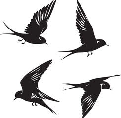 Obraz premium silhouettes of birds