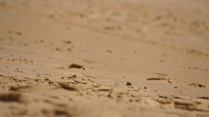 Sand Closeup