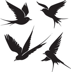 silhouettes of birds