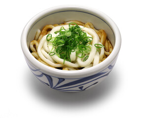 Ise udon noodles with sweet soy sauce, Japanese food

