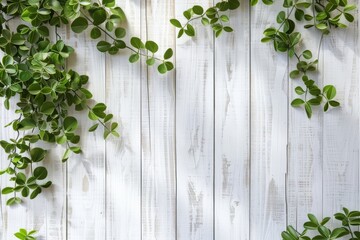 White wooden background with green plants on the left side, white wood banner template