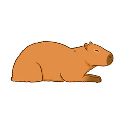 Lazy Capybara