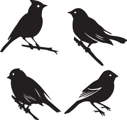 silhouettes of birds
