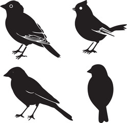 silhouettes of birds