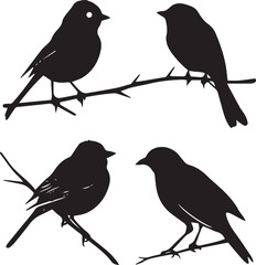 Obraz premium silhouettes of birds