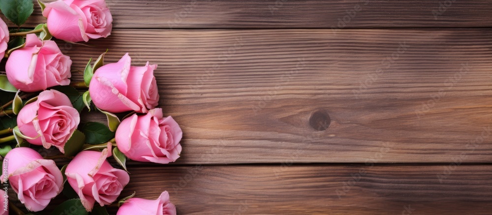 Fototapete Pink roses displayed on a simple wooden backdrop. with copy space image. Place for adding text or design