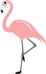 flamingo  illustration on white background  