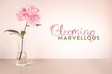 Springtime slogan greeting banner background with pink beautiful Peony flower in glass vase text, simple stylish minimalist light chic elegant floral design, soft pastel aesthetic, spring season