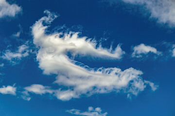 Cloud in the sky in the shape of a dragon. Daytime blue sky with natural clouds. Pareidolia