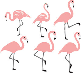 pink flamingo isolated on white 