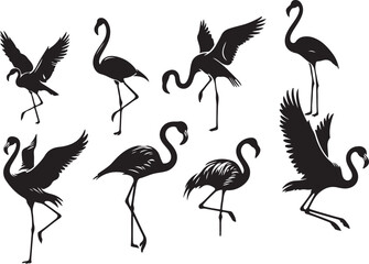 flamingo  illustration on white background  