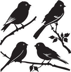 birds on a branch