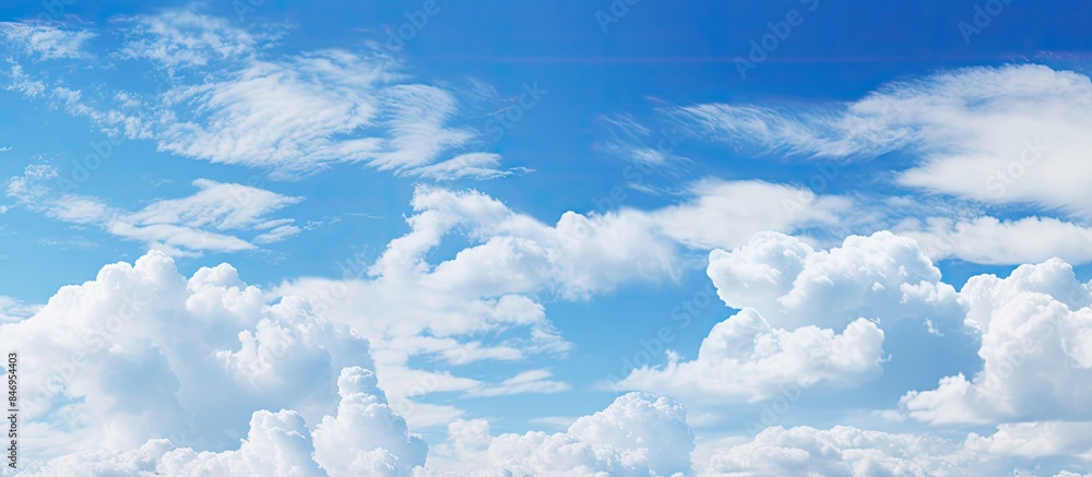 Aufkleber Diverse shapes of white clouds fill the clear blue sky above a vast expanse of green grass below. with copy space image. Place for adding text or design
