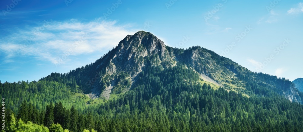 Poster rocky mountain peaks surrounded by a dense expanse of green coniferous trees. with copy space image.