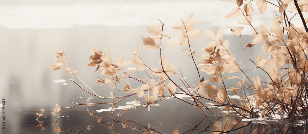 Poster lush green plant flourishing in its aquatic environment, displaying growth in water. with copy space