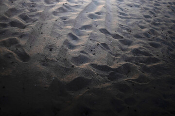 the background is made of sand. sand close-up.sunset. evening. low depth of focus. blurred background. beautiful bokeh.