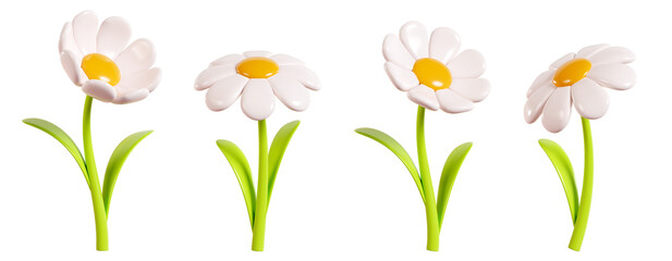 Daisy plastic flower with white petals, green stem and leaf in different angles of view cartoon icon 3d render illustration. Chamomile bubble bloom for spring and summer design. Glossy balloon blossom