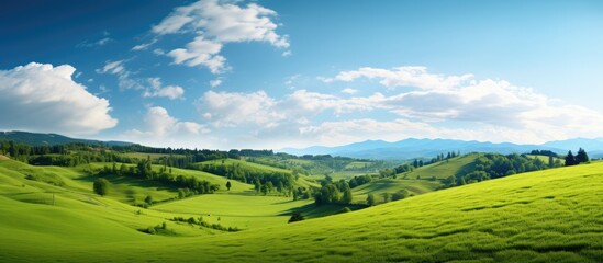 Obraz premium Green field and trees with mountain backdrop under a clear sky capturing a scenic natural view of summer hills. with copy space image. Place for adding text or design