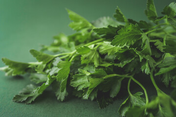 Green branch fresh parsley on a green background