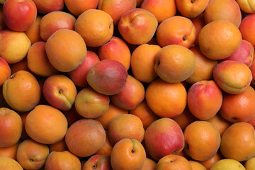 Delicious fresh ripe apricots as background, top view