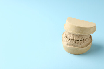 Dental model with gums on light blue background, space for text. Cast of teeth