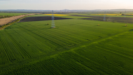 Aerial view of agricultural fields. Aerial view with the landscape geometry texture of a lot of agriculture fields with different plants like rapeseed in blooming season and green wheat. Electricity  © Nenad