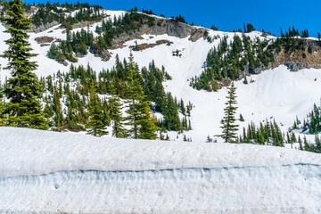 Chinook Pass Hill 3