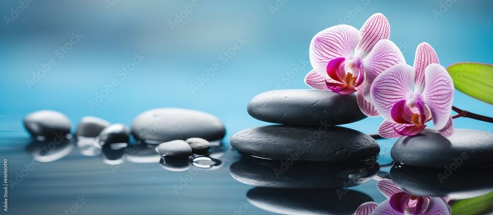Leinwandbilder a beautiful flower blooming on a pile of rocks surrounded by water in a tranquil setting. with copy 