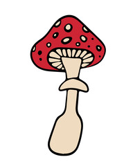 Vector isolated illustration of fly agaric on a white background.